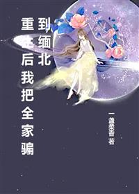 重生后我把全家骗到缅北
