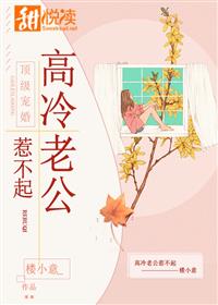 頂級(jí)寵婚:高冷老公惹不起(又名:寵妻總裁壞透了)